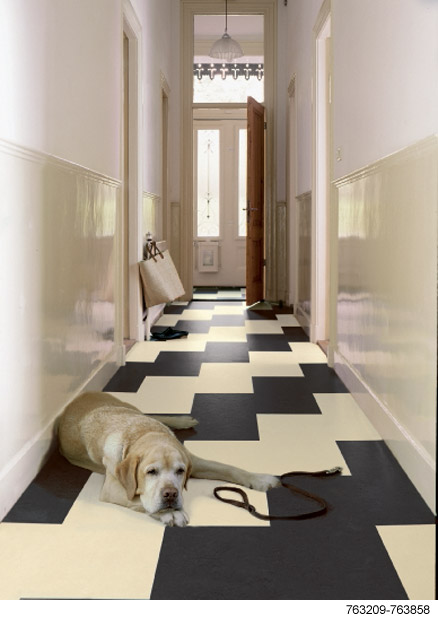 Marmoleum_zvirata_nejsou_problem